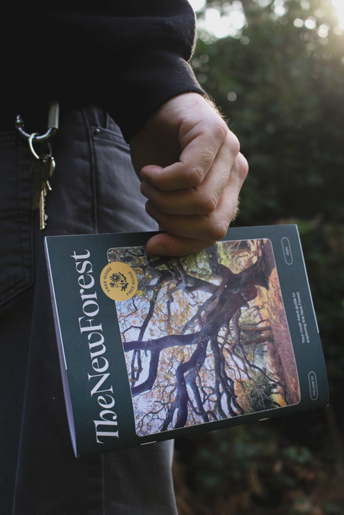 New Forest Guide 2025
