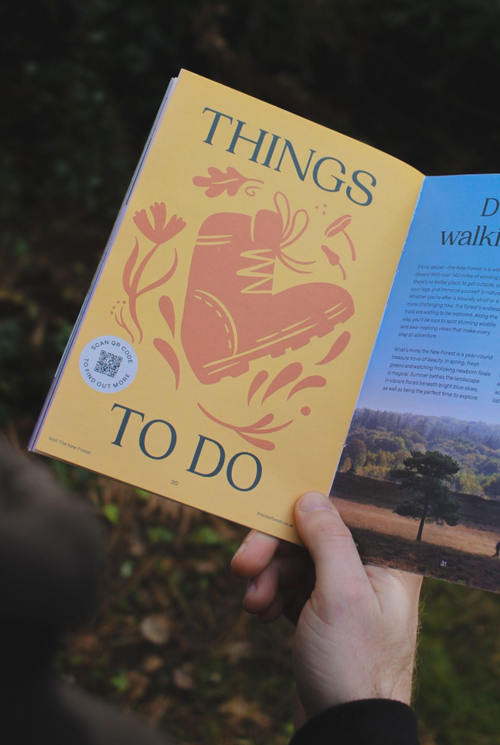 New Forest Guide 2025