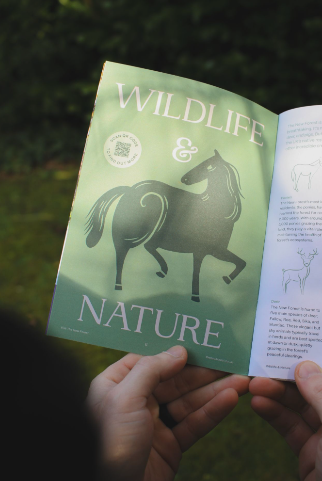 New Forest Guide 2025