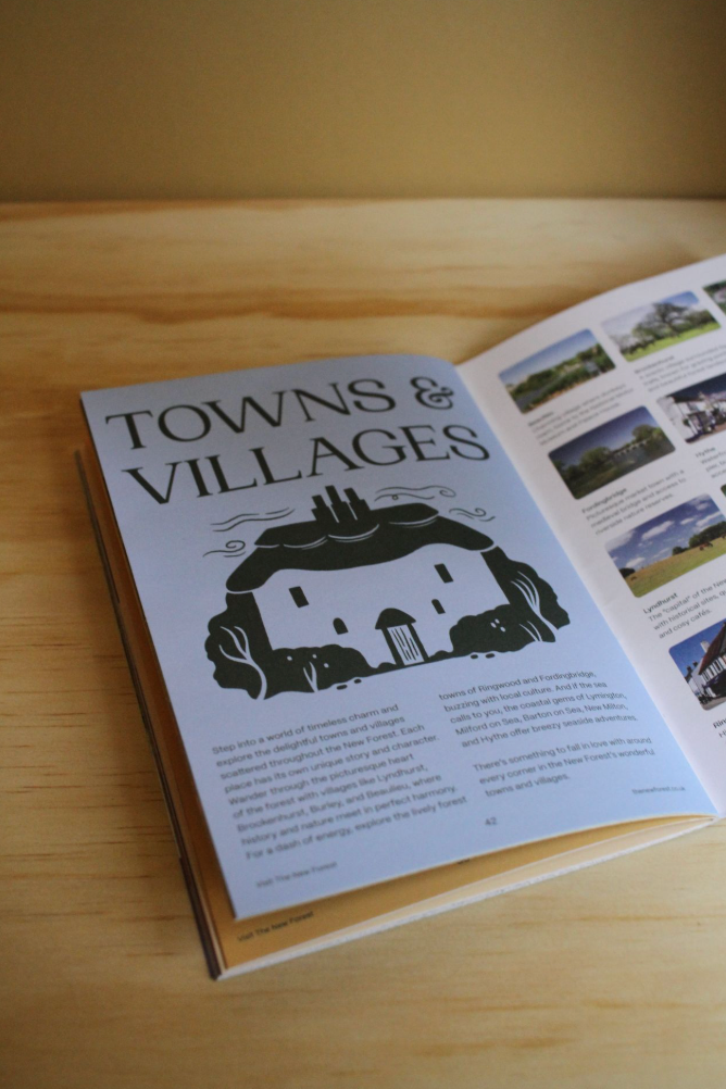 New Forest Guide 2025